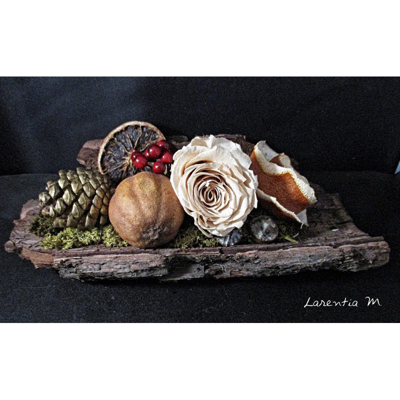 Autumn composition in a tree bark of 22x12cm, dried rose, dried fruits