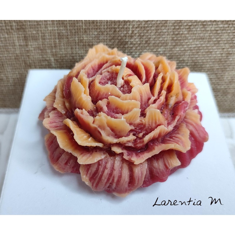 Bougie Pivoine à 2 couleurs - 7.5 cm - Cire végétale