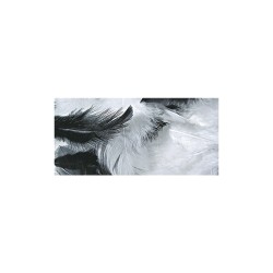 Mélange de plumes noir/blanc 3-10 cm. sct.-LS 10 g