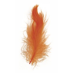 Plumes décoratives orange