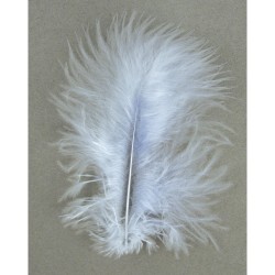 Decorative feathers 8 cm. tab.-LS 10 pcs