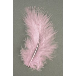 Decorative feathers 8 cm. tab.-LS 10 pcs