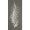 Downy feather 10-15 cm. tab.-LS 15 pcs