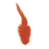 Fashionable feather 10-15 cm. tab.-LS 2 g