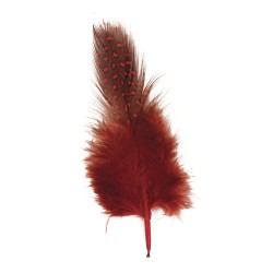 Plumes déco. 6 cm sct.-LS 2 g