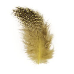 Plumes déco. 6 cm sct.-LS 2 g