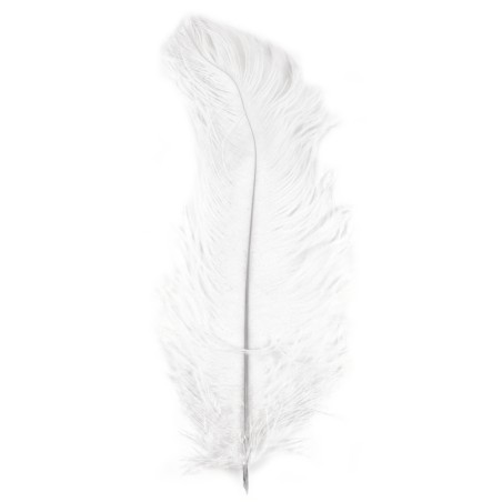 Ostrich feather