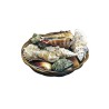 Assortment of shells in basket or pearl shell