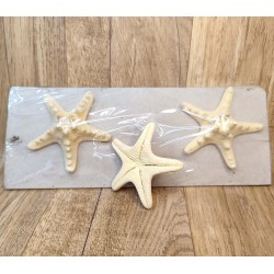 3 starfish sizes 7-9cm