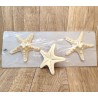 3 starfish sizes 7-9cm