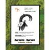 Astrological Sign Gift Box