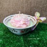 Peony candle in a porcelain cup and ribbon