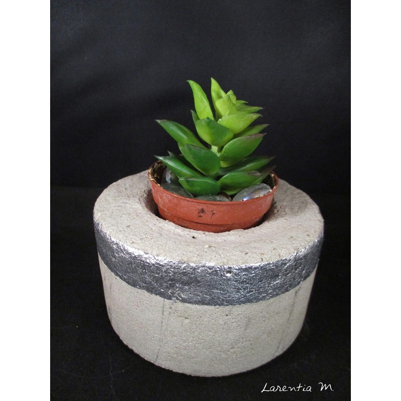 Cache concrete pot for cactus (with plastic plant) heart and gold