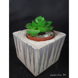 Caches pot en béton pour cactus (sans plante) carré et or