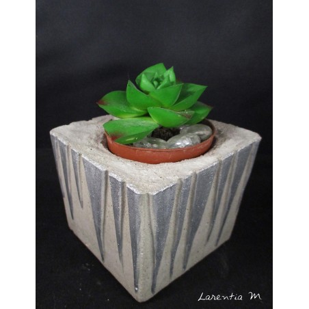 Caches pot en béton pour cactus (sans plante) carré et or