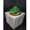 concrete flower pot square cactus