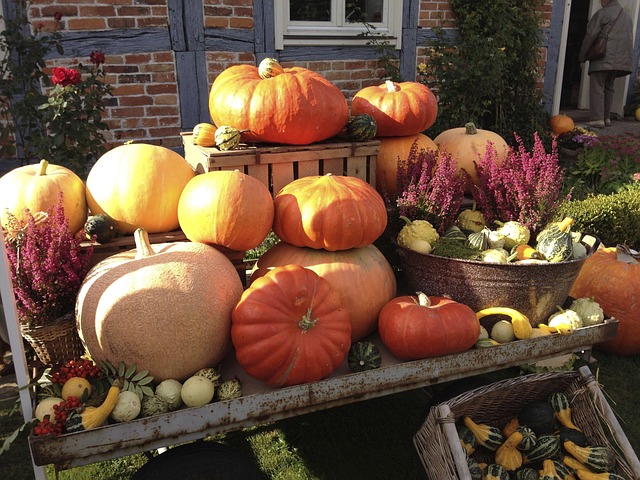 types de citrouilles