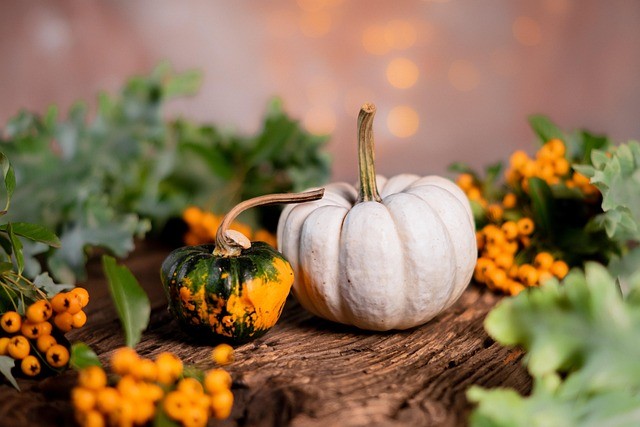 Les Citrouilles Décoratives : Un Art Ancestral qui Illumine nos Intérieurs